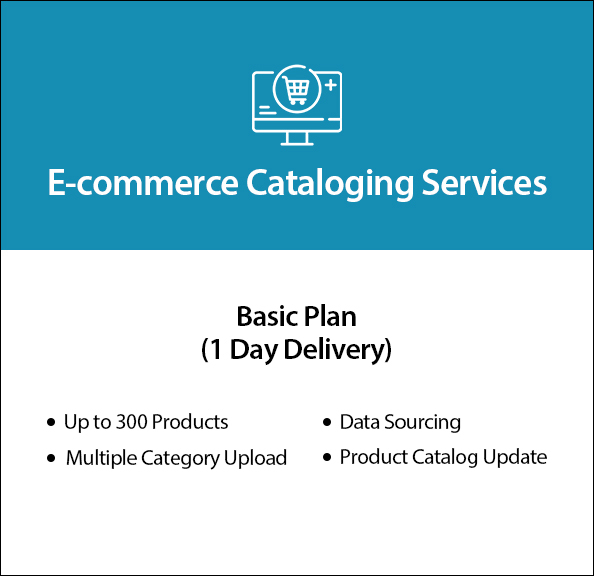 E-commerce Cataloging Services - Basic 