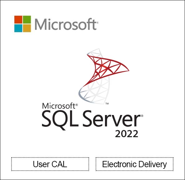 SQL Server 2022 - 1 User CAL - License 
