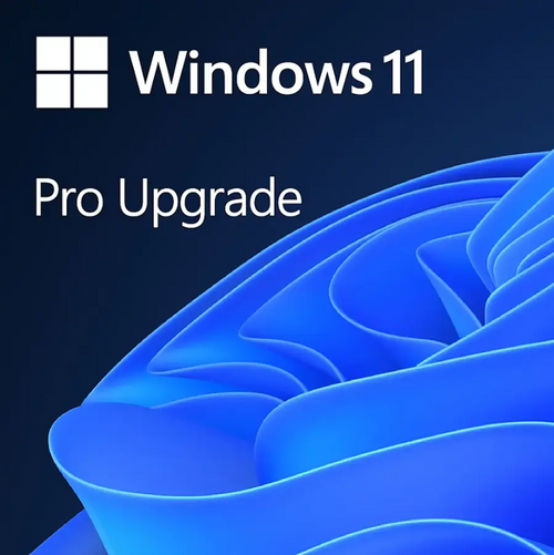 Windows 11 Pro Upgrade (Home to Pro)