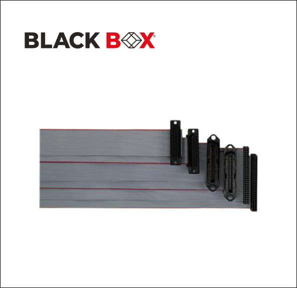3Ft Non Cancelable/Non Returnable 